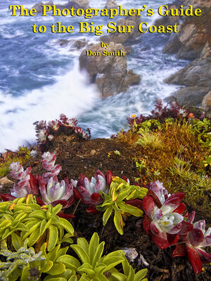 cover image of The Photographer's Guide to the Big Sur Coast